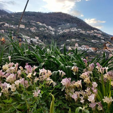 La Margherita Fiorita Ravello Buitenkant foto