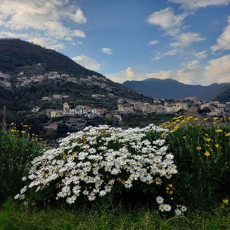 La Margherita Fiorita Ravello Buitenkant foto