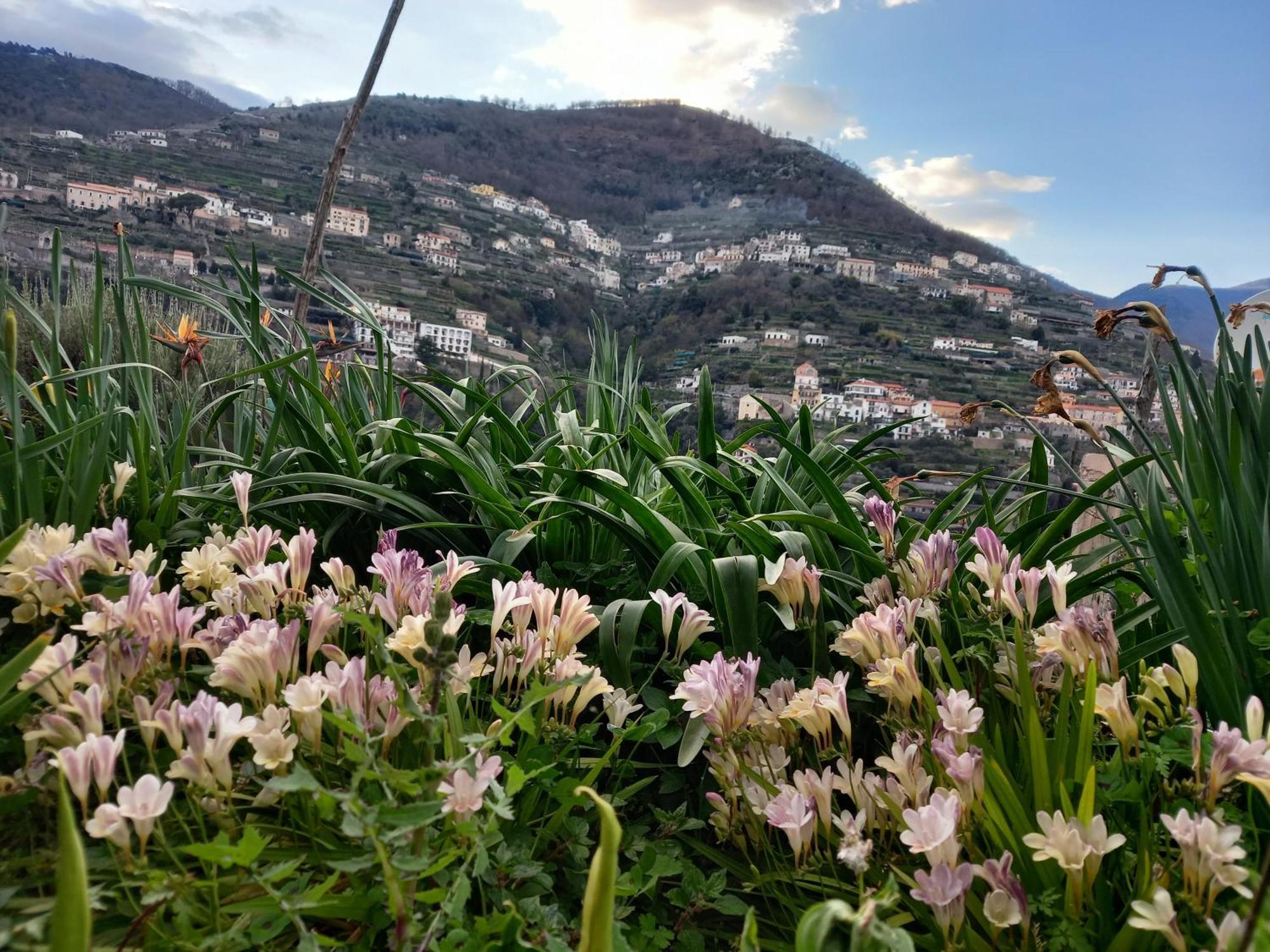 La Margherita Fiorita Ravello Buitenkant foto