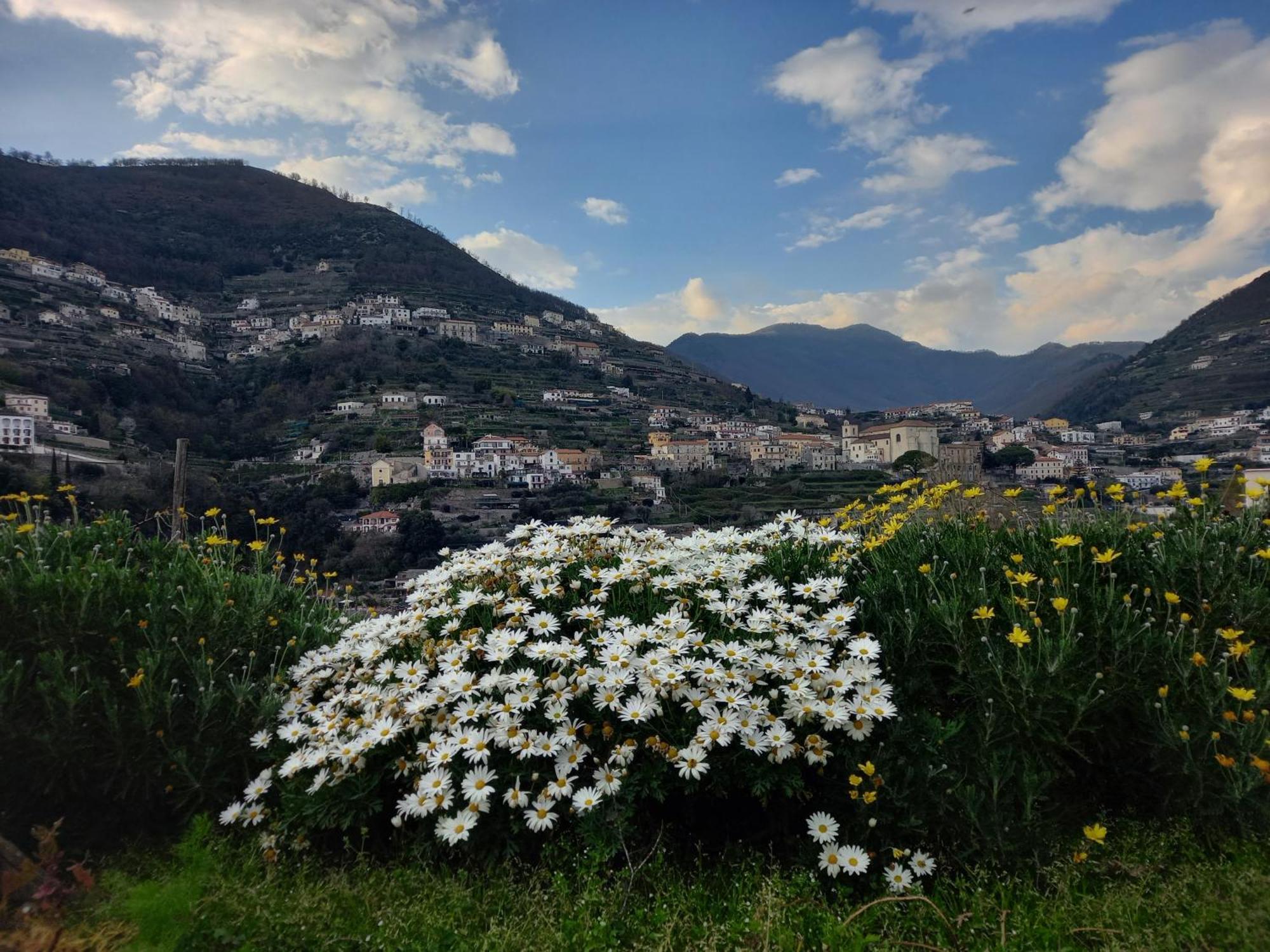 La Margherita Fiorita Ravello Buitenkant foto
